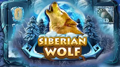 siberianwolf